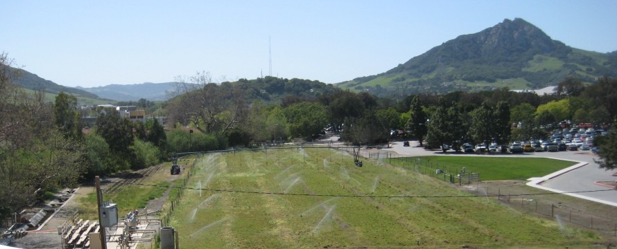 Irrigation Practices Field