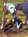 Flushing hoses